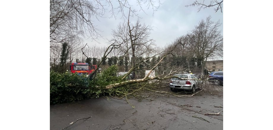 Umgestürtzter Baum nach Sturmtief