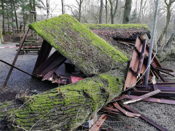 Baum zerstört Grillplatz im Wald