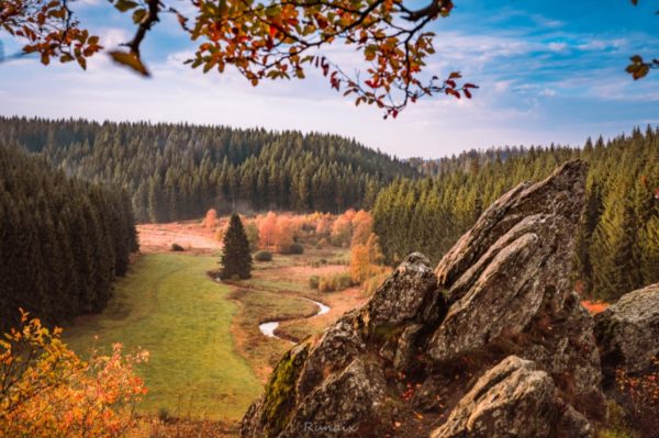 Idylisches Landschaftspanorama: Wald und wiese mit Fluss in Herbstfarben
