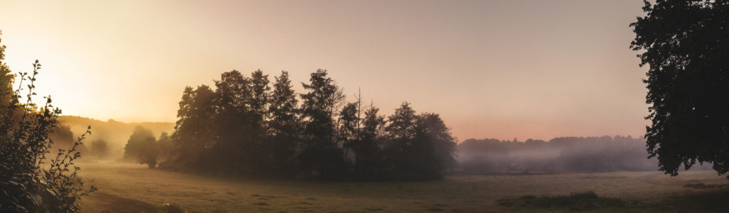 Herbstmorgen im Wurmtal; leichter Nebel zieht in der aufgehenden Sonne über Wiesen und Bäume